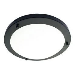 Revive Lighting Revive Satin Black Small LED Flush Bathroom Ceiling Light