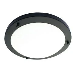 Revive Lighting Revive Satin Black 2 X E27 Large Flush Ceiling Light