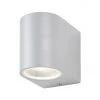 Revive Lighting Revive Outdoor Silver Wall Light