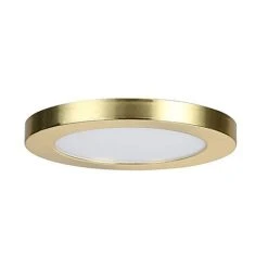 Revive Lighting Revive Satin Brass Magnetic Ring For 18W 5-in-1 Light