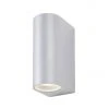 Revive Lighting Revive Silver Outdoor Up & Down Light