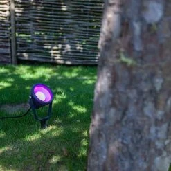 Revive Lighting Revive Smart Outdoor Mini Wall/Ground Spike Light 9 Revive Lighting Revive Smart Outdoor Mini Wall/Ground Spike Light -Revive Lighting Shop RV4243 D4 460