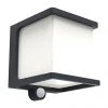 Revive Lighting Revive Outdoor Solar PIR Wall Light (W110 X L129 X H110mm)