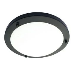 Revive Lighting Revive Satin Black 18W Large LED Flush Ceiling Light