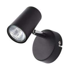 Revive Lighting Revive Black Single Spotlight