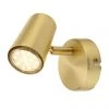Revive Lighting Revive Satin Brass Single Spotlight