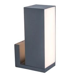 Revive Lighting Revive Smart Outdoor Rotatable Dark Grey Wall Light